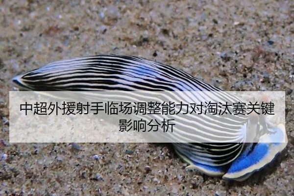 中超外援射手临场调整能力对淘汰赛关键影响分析